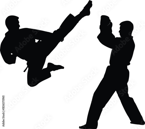 Two black silhouettes of men practicing martial arts with one kicking