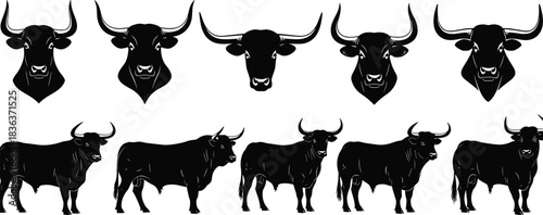 Black and White Bull Vector Set with Full Body Silhouettes and Head Illustrations, Featuring Taurus Symbolism and Cattle Farm Animals for Logo and Design, cad drawing flat vector illustration