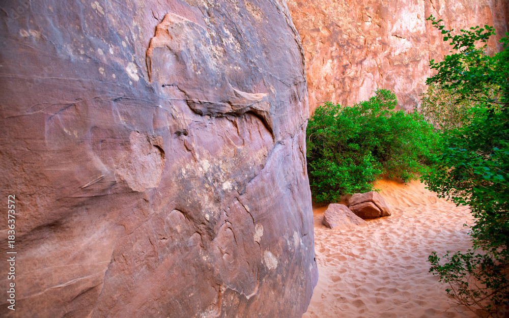 Obraz premium Red rock canyon walls creating dramatic landscapes inside Arches National Park desert