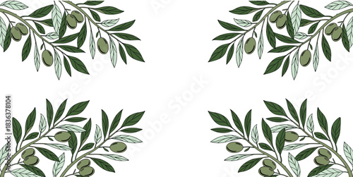 Elegant Olive Tree Branches Corner Border Frame Design Element