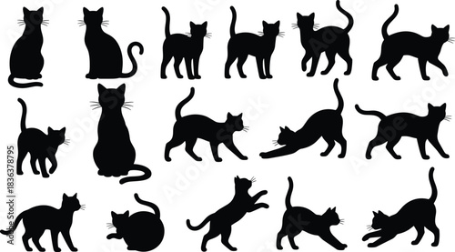 Cat silhouette poses, feline movement, black icons, vector illustration, sitting cat, jumping action, walking posture, playful behavior, animal anatomy, pet design