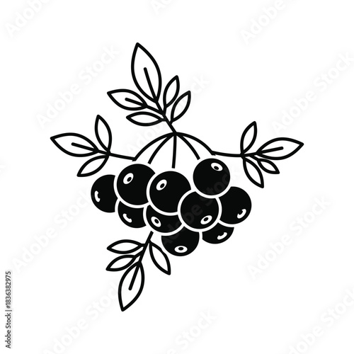 Black and white outline icon of a berry bunch with leaves