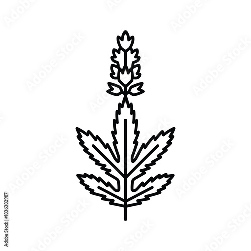 Minimalist botanical line art icon of a plant with a deeply lobed leaf and flower spike