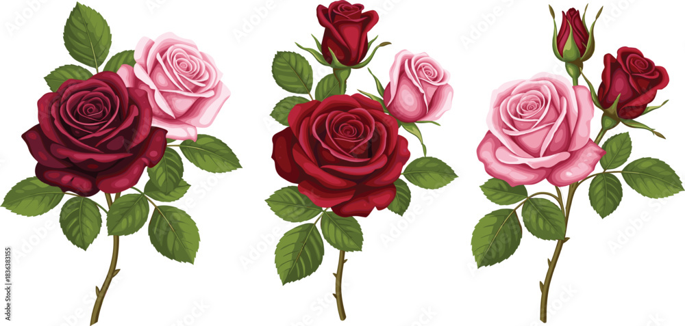 Naklejka premium Realistic vector illustration of red and pink rose stems with detailed petals and leaves, perfect for romantic, floral, and decorative designs.