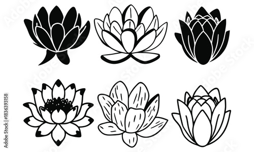 Collection of Hand-Drawn Lotus Flower Line Art Illustrations