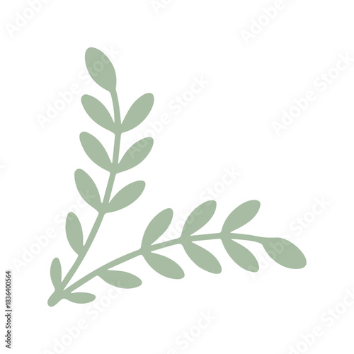 Wallpaper Mural Pale green corner element featuring two sprigs with symmetrical leaf arrangements on a white background Torontodigital.ca
