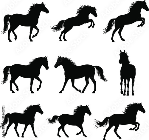 Horse silhouettes collection in various poses on white background