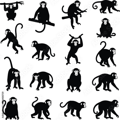 Monkey silhouette set various poses wildlife jungle animals