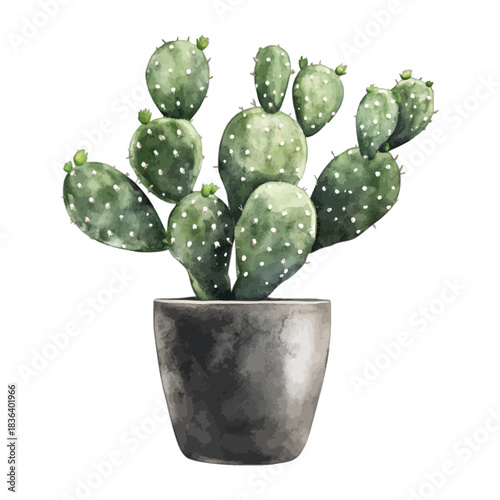 Watercolor prickly pear cactus in a grey pot, vector illustration
