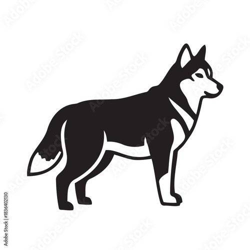 Black and white silhouette of a standing husky dog  
