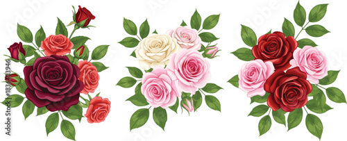 Elegant vector illustration of rose flower bouquets in various colors with lush green leaves, perfect for wedding, romantic, and decorative designs.