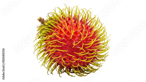 Exotic red rambutan fruit, with yellow spines, isolated against black