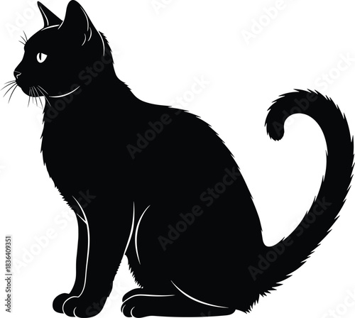 Silhouette of a sitting cat with curled tail, minimal black illustration emphasizing feline elegance, posture, and personality