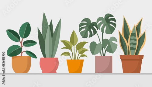 A beautiful arrangement of various indoor plants displayed on a shelf, showcasing diverse textures and shapes that enhance a natural aesthetic and bring life indoors.