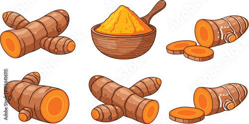 Vector Collection of Turmeric Roots and Ground Spice Powder in a Wooden Bowl, Highlighting Natural Food, Healthy Ingredients, Herbal Medicine, and Organic Culinary Concepts