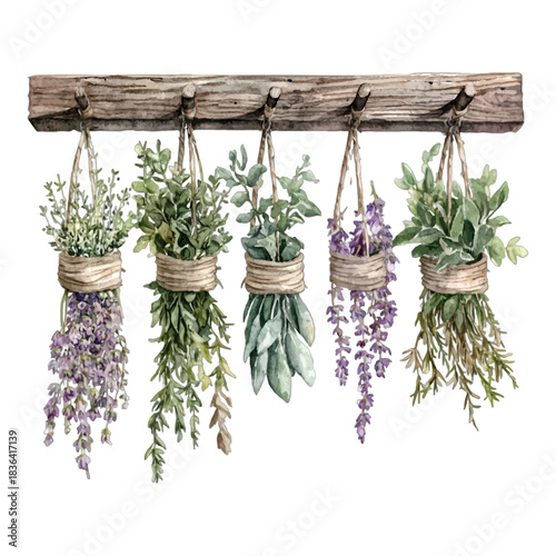 Watercolor Hanging Dried Herbs Bundles on Wooden Beam Clipart Vector Illustration

