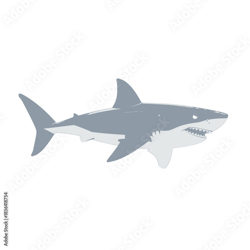 Cartoon Great White Shark Illustration