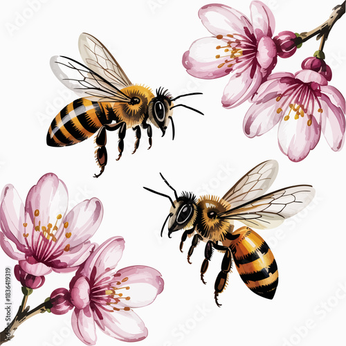 This image portrays two bees gracefully hovering around vibrant pink cherry blossoms, embodying the spirit of spring and the essential role of pollinators in nature.