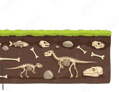 Dinosaur Fossils Cartoon Illustration