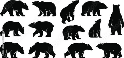 Bear Silhouettes Set, Grizzly and Black Bears Vector Collection in Various Poses