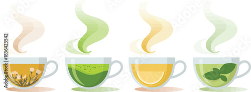 Collection of Herbal Teas in Glass Cups with Different Flavors and Steam Vector Illustration Concept on Transparent Background