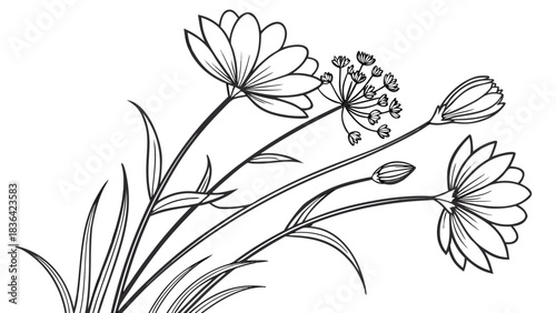Elegant Hand-Drawn Floral Arrangement Line Art on White Background: Botanical Sketch of Blooming Flowers and Leaves