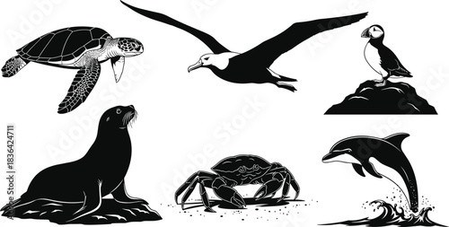 Coastal and ocean animal illustration set featuring sea turtle, flying albatross, puffin, sea lion, crab, and jumping dolphin, isolated vector graphic.