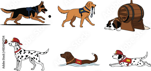 Cartoon dog breed collection featuring rescue, service, and working dogs like Dalmatian firefighter, German Shepherd, and St. Bernard, isolated vector illustration set.