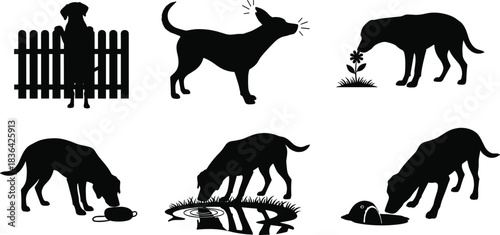 Dog silhouette collection showing various daily behaviors and actions like looking, barking, sniffing, eating, drinking, and playing with pet toy, isolated vector illustration.