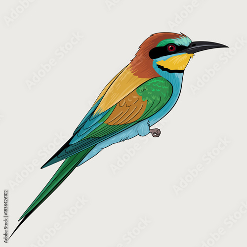 An intricately designed colorful bird exhibiting vibrant feather patterns that emphasize the beauty of wildlife and the diversity of nature's creations.