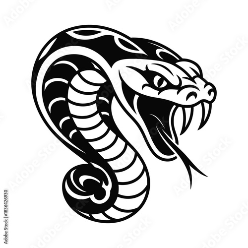 Fierce cobra snake head with open mouth and fangs