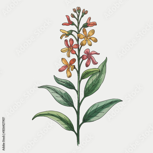 A beautiful illustration of a flowering plant with vibrant blossoms, representing growth and beauty in nature, perfect for floral-themed art projects or decor.