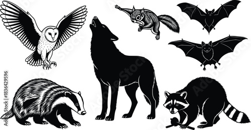 Nocturnal forest animal illustration set featuring barn owl, howling wolf, flying bats, badger, squirrel, and raccoon with stick, isolated vector graphic.