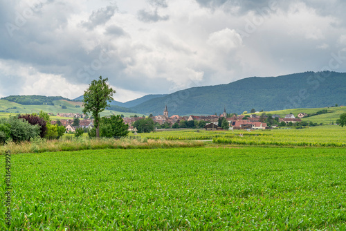Idyllic Alsace scenery