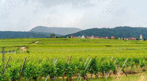 Idyllic Alsace scenery