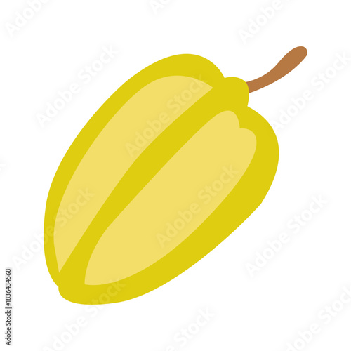 Hand drawn star fruit. Exotic summer fruit illustration. Flat vector fruity design for tropical packaging, healthy food label, kitchen decor.
