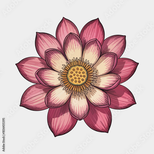 A striking illustration of a pink lotus flower, showcasing its exquisite petals and intricate details, symbolizing purity and enlightenment in art and nature's beauty.
