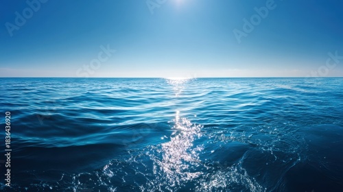 The ocean is calm and clear, with a bright blue sky above. The water is still, and the sun is shining brightly, creating a peaceful and serene atmosphere