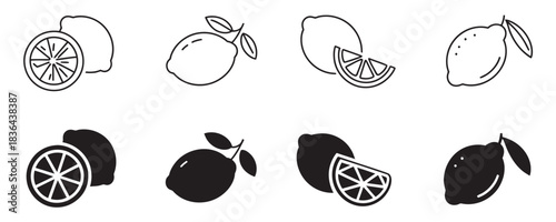 Fresh citrus fruit icons and silhouettes for design