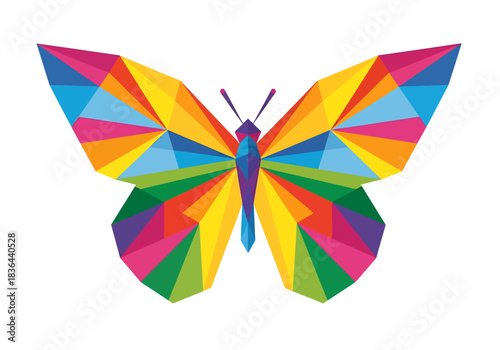 Stylized lowpoly rainbow butterfly graphic centered on a white background