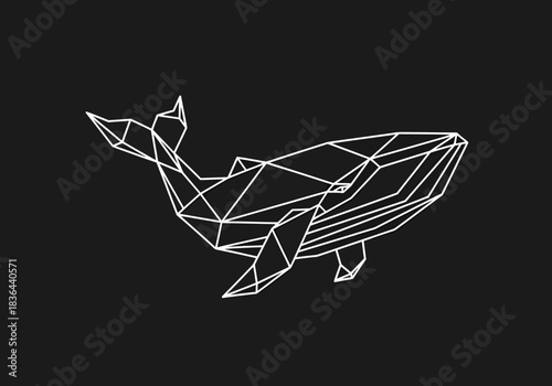 Wireframe whale illustration in white lines on a black background