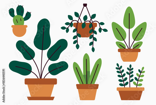 A collection of various potted house plants in a flat, illustrative style, featuring different types of green foliage and terracotta pots on a white background.