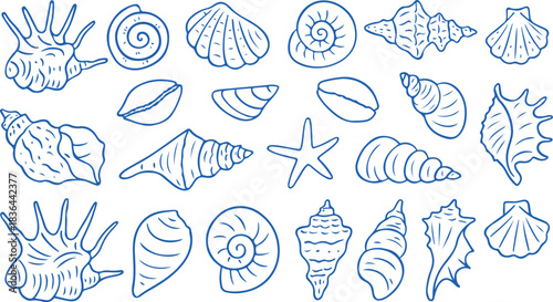 Set of hand drawn seashells drawing ink. Minimalist line art. Summer vacation design elements for trendy prints, label, menu cover. Tropical beach shells vector art and illustration