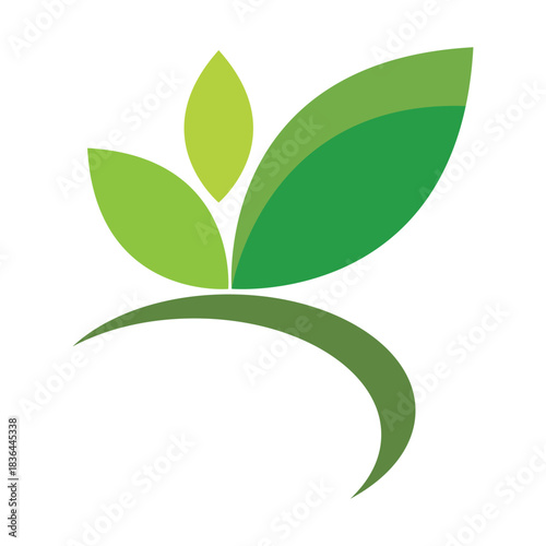 Green leaf logo design