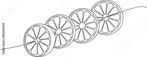 Four Sliced Oranges in a Row Line Art fruit citrus