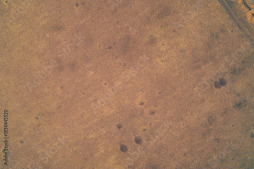 Aerial top down view of dry field covered with artillery craters near dirt road. War zone landscape texture and destruction background pattern.