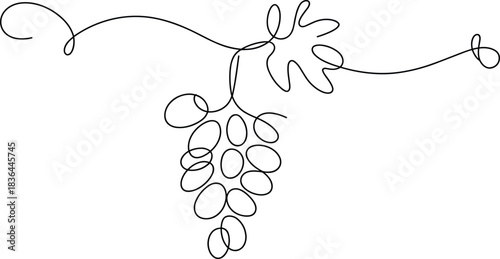 Single line drawing of grapes and vine fruit food