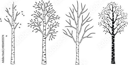 Set of birch tree silhouettes with branches and leaves, seasonal woodland elements for nature, forest, botanical and decorative designs