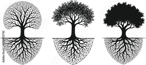 Set of stylized trees with detailed roots, symbolizing growth, nature, family heritage, grounding, strength, eco design and organic life