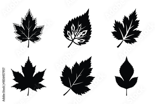 Christmas frosty leaf icon set. Vector illustration of silhouette icons.